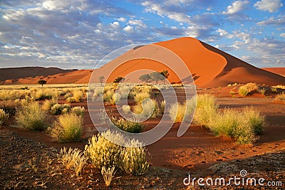 Grass, dune and sky, Sossusvlei, Namibia Stock Photo