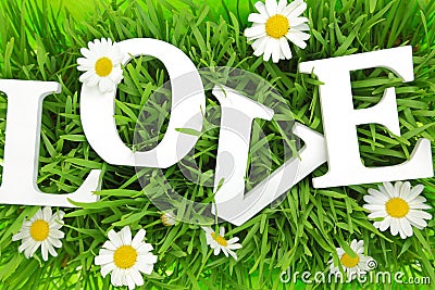 Grass with flowers and white text Love Stock Photo