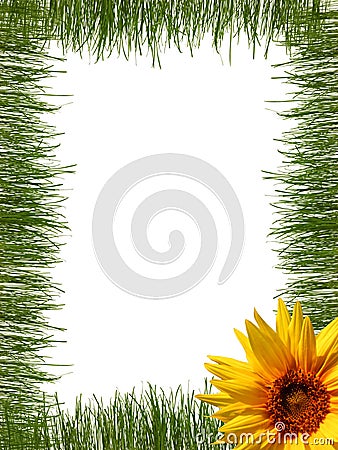 Grass frame Stock Photo