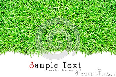 Grass frame in white background Stock Photo
