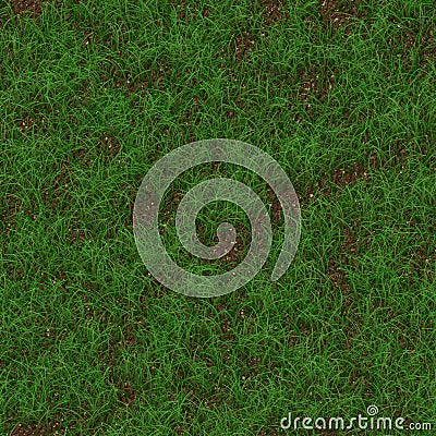 Grass generated seamless texture Stock Photo