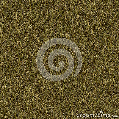 Grass generated seamless texture Stock Photo