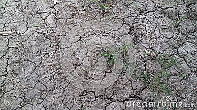 Grass, grass, clay, clay, gray clay Stock Photo