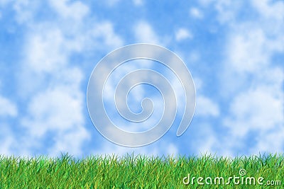 Grass is green Stock Photo