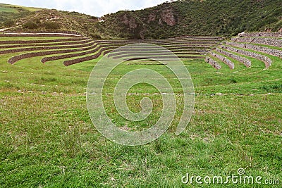 Grass green field in inca terraces Stock Photo