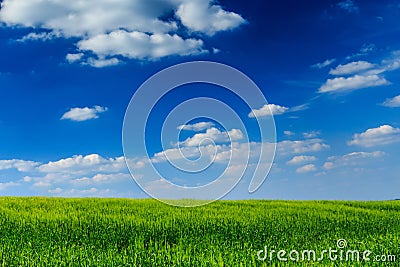 The grass is always greener Stock Photo