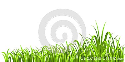 Grass growth Vector Illustration