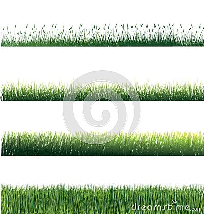 Grass isolated Cartoon Illustration