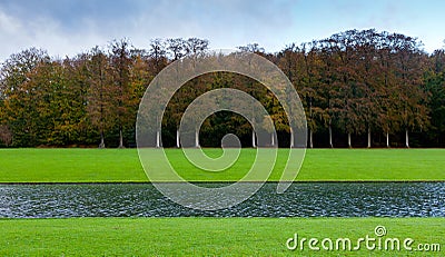 Grass lake beech tree wood Stock Photo