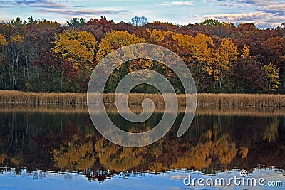 Grass Lake in Fall Stock Photo