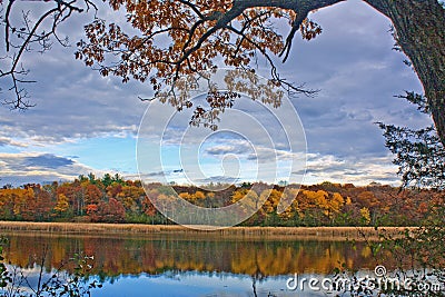 Grass Lake in Fall Stock Photo