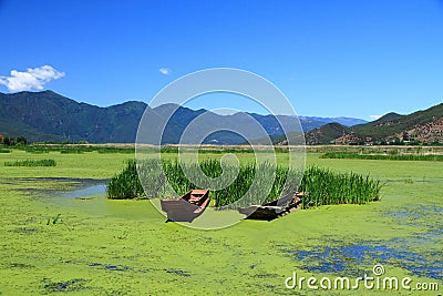 Grass lake in Lugu lake , China Stock Photo