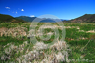 Grass lake in Lugu lake , China Stock Photo