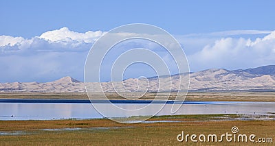 Grass land of Qinghai Lake, China Stock Photo