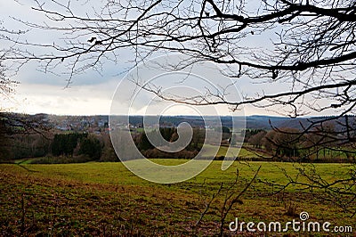 Grass land wood, Hoegne, Ardennes, Belgium Stock Photo