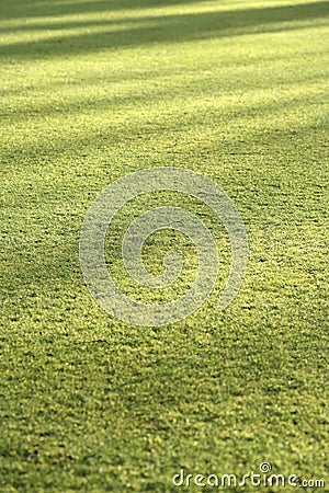 Grass lawn background with evening shadows Stock Photo