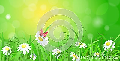 Grass lawn with chamomile and sunshine blur effect background Vector Illustration