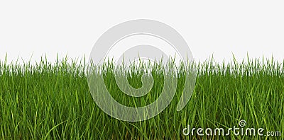 Grass lawn Cartoon Illustration