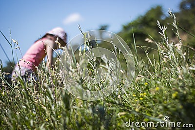 Grass low angle view, girl in the background blurred Stock Photo