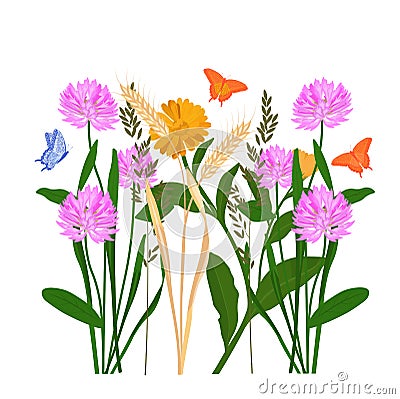 Grass meadow vector stock illustration. A field with medicinal plants. Vector Illustration