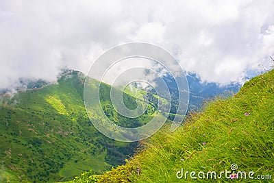 Grass meadows in forest mountains, views of ridges and clouds Stock Photo