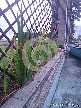 Grass with the monnument beside street Stock Photo