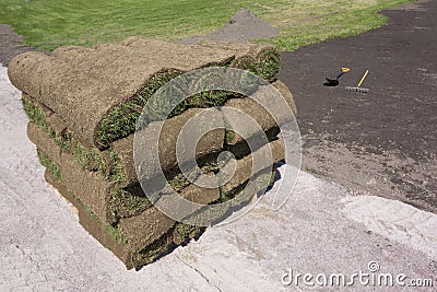 Grass on a pallet Stock Photo