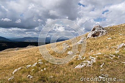 Grass pasture on slope of Vlasic mountain with some rocks Stock Photo