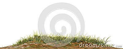 Grass patch isolated on white for architecture design or othe use. Stock Photo