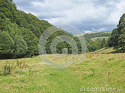 Grass path in a meadow running along the elphin valley near cragg vale in west yorkshire surrounded by woodland trees in summer Stock Photo