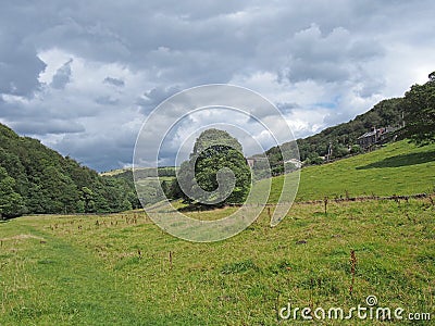 Grass path in a meadow running along the elphin valley near cragg vale in west yorkshire surrounded by woodland trees in summer Stock Photo