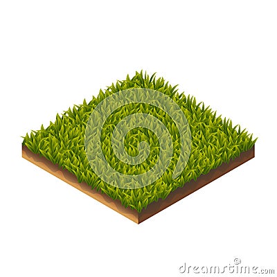 Grass Pattern Isometric Vector Illustration