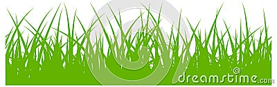 Grass pattern. Spring greenery. Seamless botanical border Vector Illustration