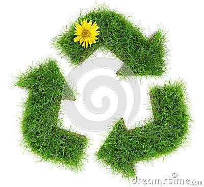 Grass Recycling Arrows with Sunflower isolated on white Background Stock Photo