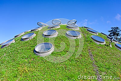Grass roof Stock Photo