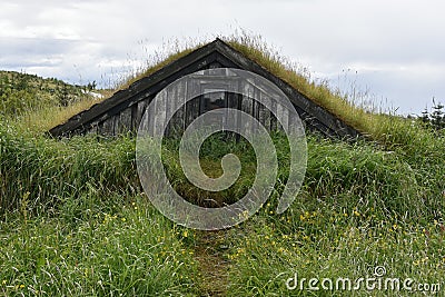 Grass roofed cattle shed Stock Photo