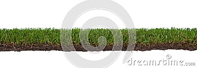 Grass with roots and dirt Stock Photo