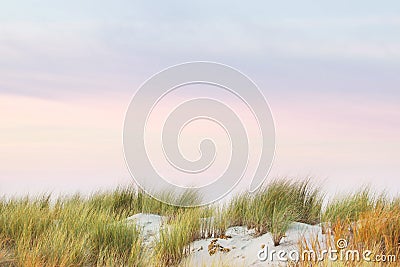 Grass, sand and colorful painted sky, calm and still Stock Photo