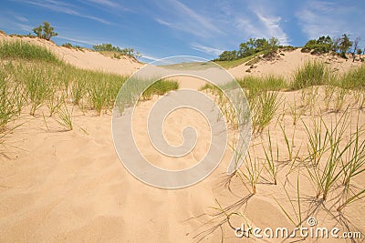 Grass and Sand Dunes Stock Photo