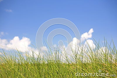 Grass Scenic 2 Stock Photo