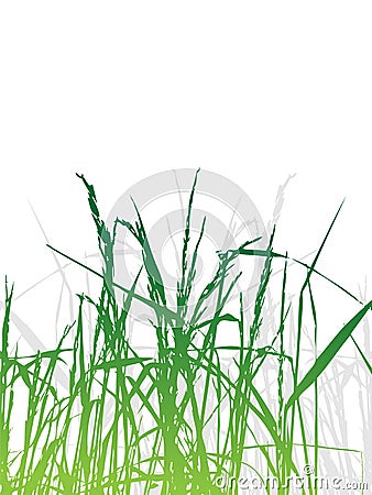 Grass silhouette green, summer Vector Illustration