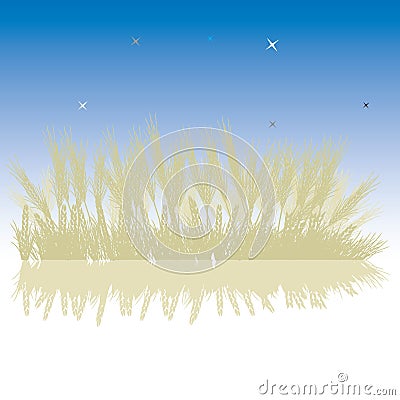 Grass silhouette wheat, night Vector Illustration