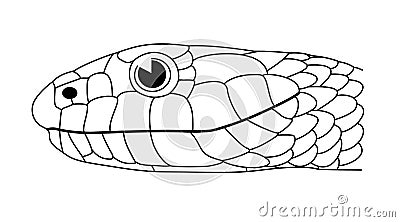 Grass snake (Natrix natrix) Stock Photo