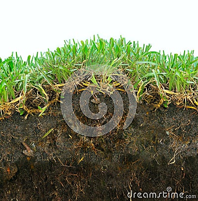 Grass sod soil Stock Photo