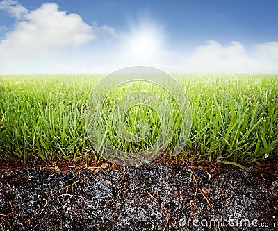 Grass soil Stock Photo