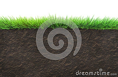 Grass and soil Stock Photo