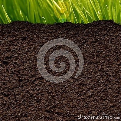 Grass and soil Stock Photo