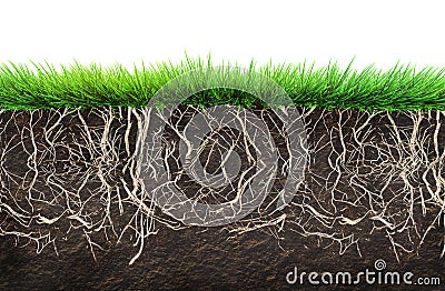 Grass and soil Stock Photo