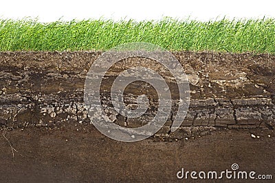 Grass and soil layers isolated on white Stock Photo