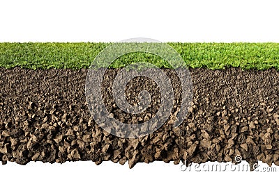 Grass and soil Stock Photo